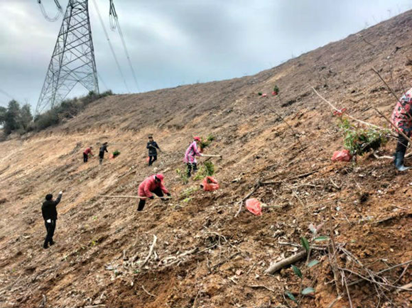 九江德安縣彭山公益林場(chǎng)掀起春季植樹造林熱潮